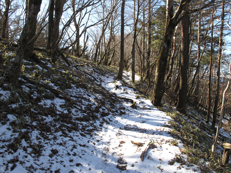 20181214hike (142)